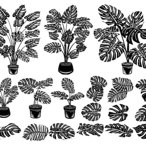 Może przedstawiać: Zestaw 15 czarno-białych sylwetkowych ilustracji roślin monstera w różnych pozach. Ilustracje obejmują całe rośliny, pojedyncze liście i skupiska liści.