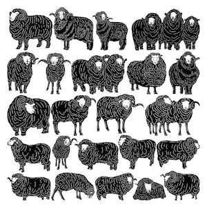 Australian Merino Sheep-file DXF e SVG pronti per il taglio con macchine CNC, laser e plasma
