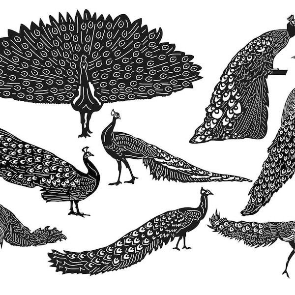 Peafowl Peacock Birds-DXF files and SVG cut ready for cnc machines, laser cutting and plasma cutting