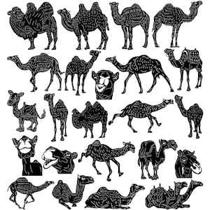 File Camel-DXF e taglio SVG pronti per macchine cnc, taglio laser e taglio plasma