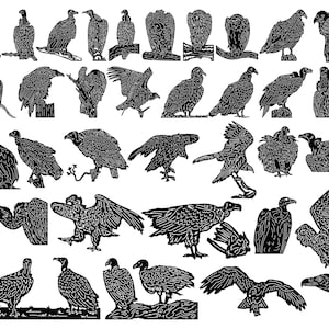 Vulture Birds-DXF files and SVG cut ready for cnc machines, laser cutting and plasma cutting