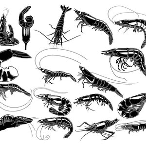 Shrimps-DXF files and SVG cut ready for cnc machines, laser cutting and plasma cutting