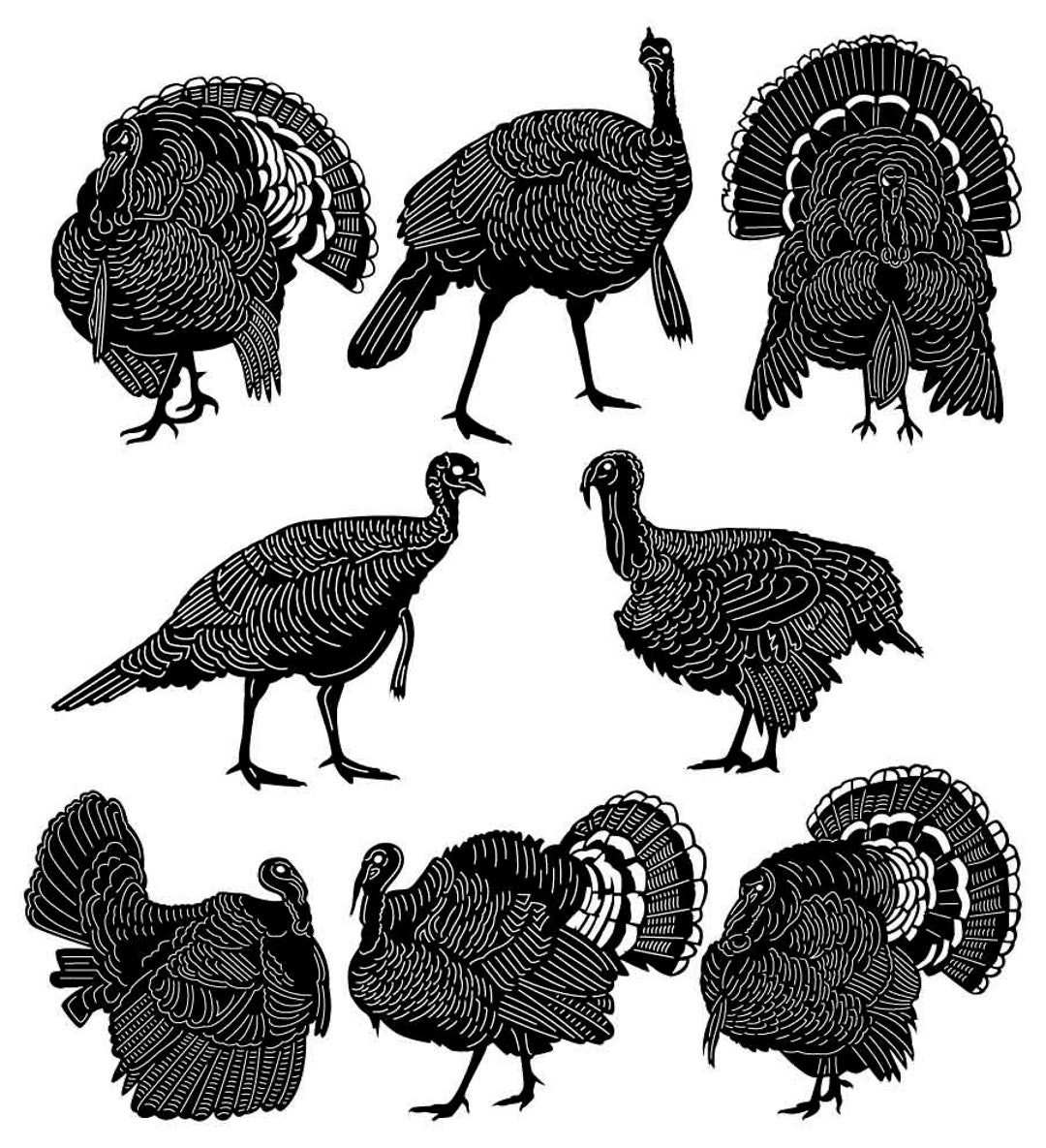 American Wild Turkey Birdsdxf Files and SVG Cut Ready for Cnc Machines