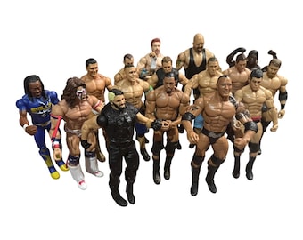 Wwe Wrestling Action Figures - Wwf - WWE- WCW - Ecw - Mick Foley