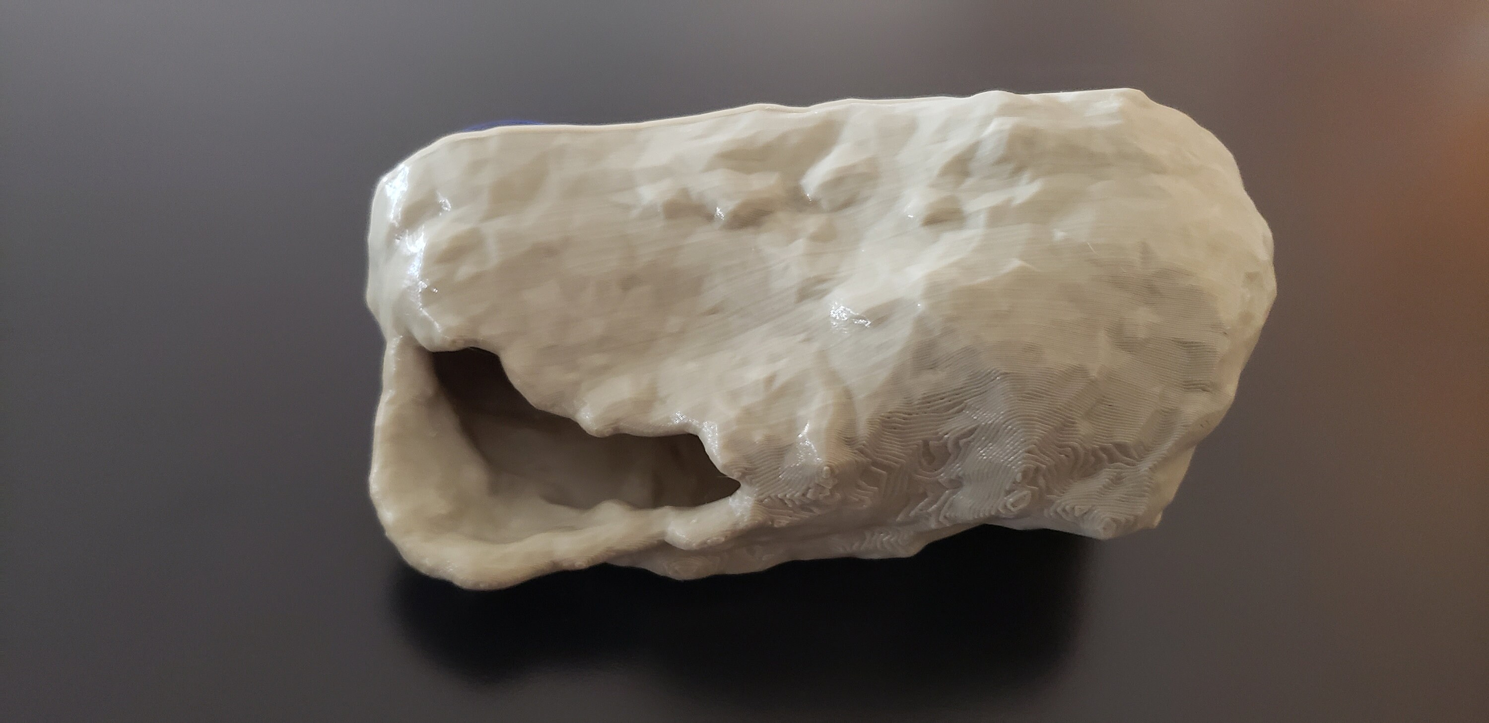 Realistic Natural Rock Style Gecko Hide - Suction Cup