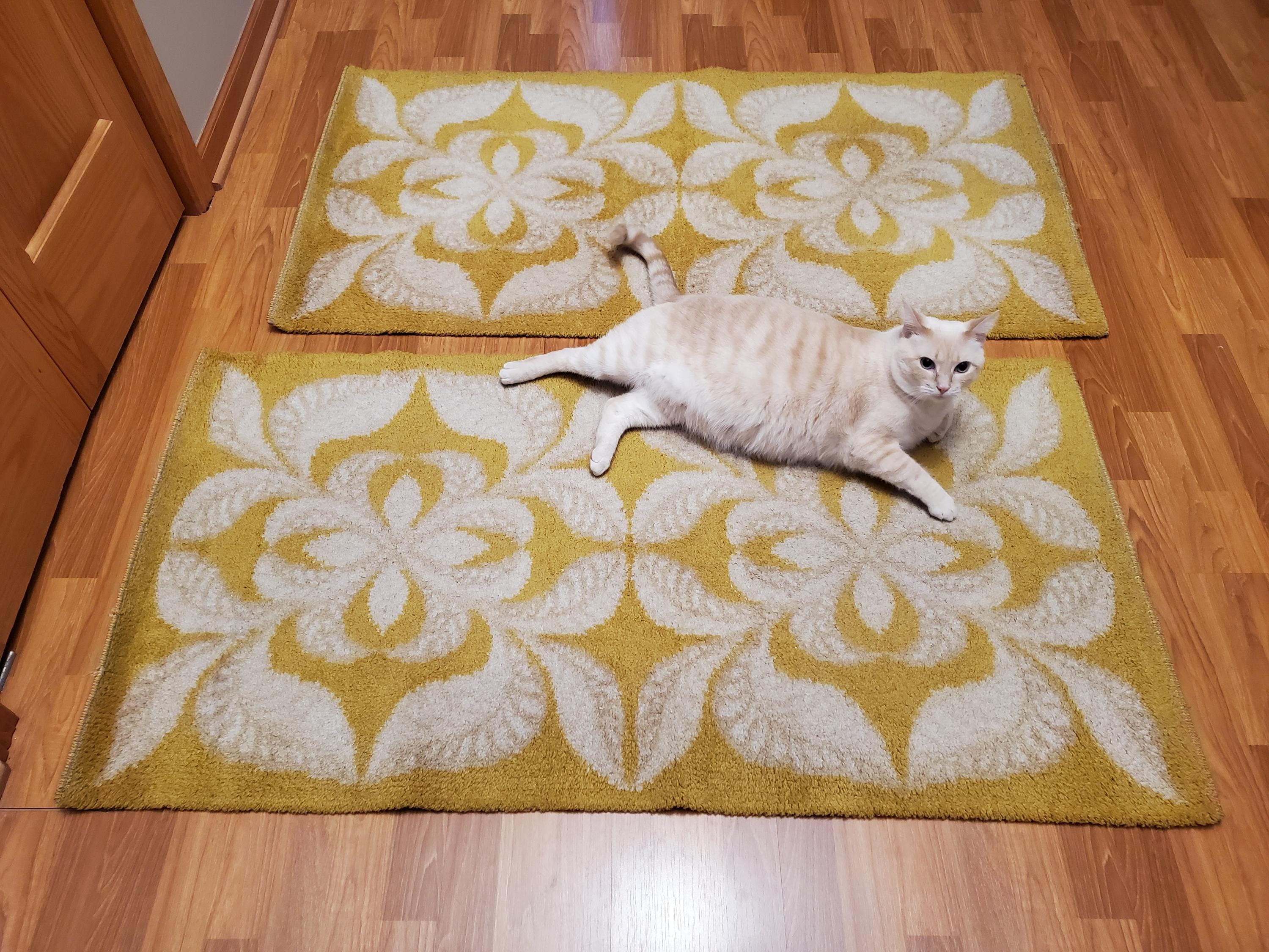 60s 70s Shag Rug - Etsy