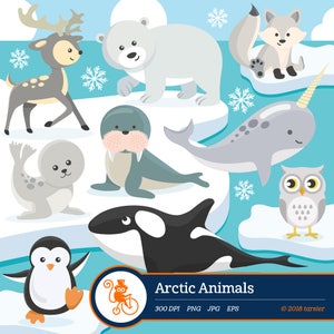 Pooldieren clipart, ijsbeervector, afbeeldingen, pinguïn digitale clipart, winter clipart, huisdier clipart, arctische clipart, noordpool