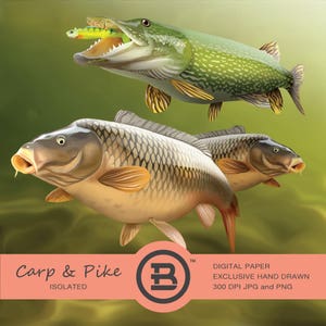 Under the water fish, carp and pike