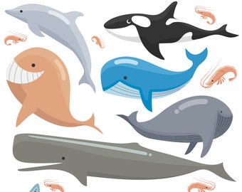 Whales clipart, Nautical whale graphics, whale vector graphics, digital clip art, digital images, Sea animal clipart, animal clipart,