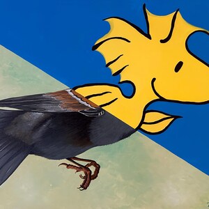 Little Birdie Woodstock