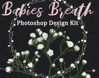 Babies Breath Photoshop Design Kit- Babies Breath Photoshop brushes, Babies Breath clipart, white babys breath, Baby Breath border Clip Art,