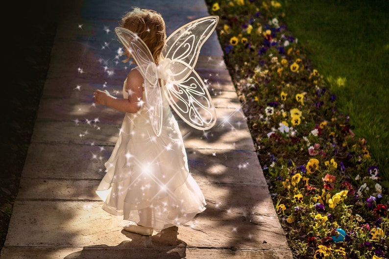 May include: A young girl wearing a white fairy costume with sparkling wings. She is walking on a stone path with a flower garden in the background.