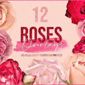 Red Rose Photoshop Overlays: Multicolored Flowers (Instant Download)