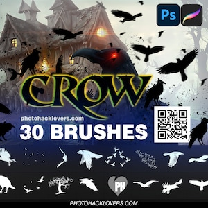 Magical Crow Brush Set: 35 Procreate & Photoshop Brushes with Overlays and Stamps