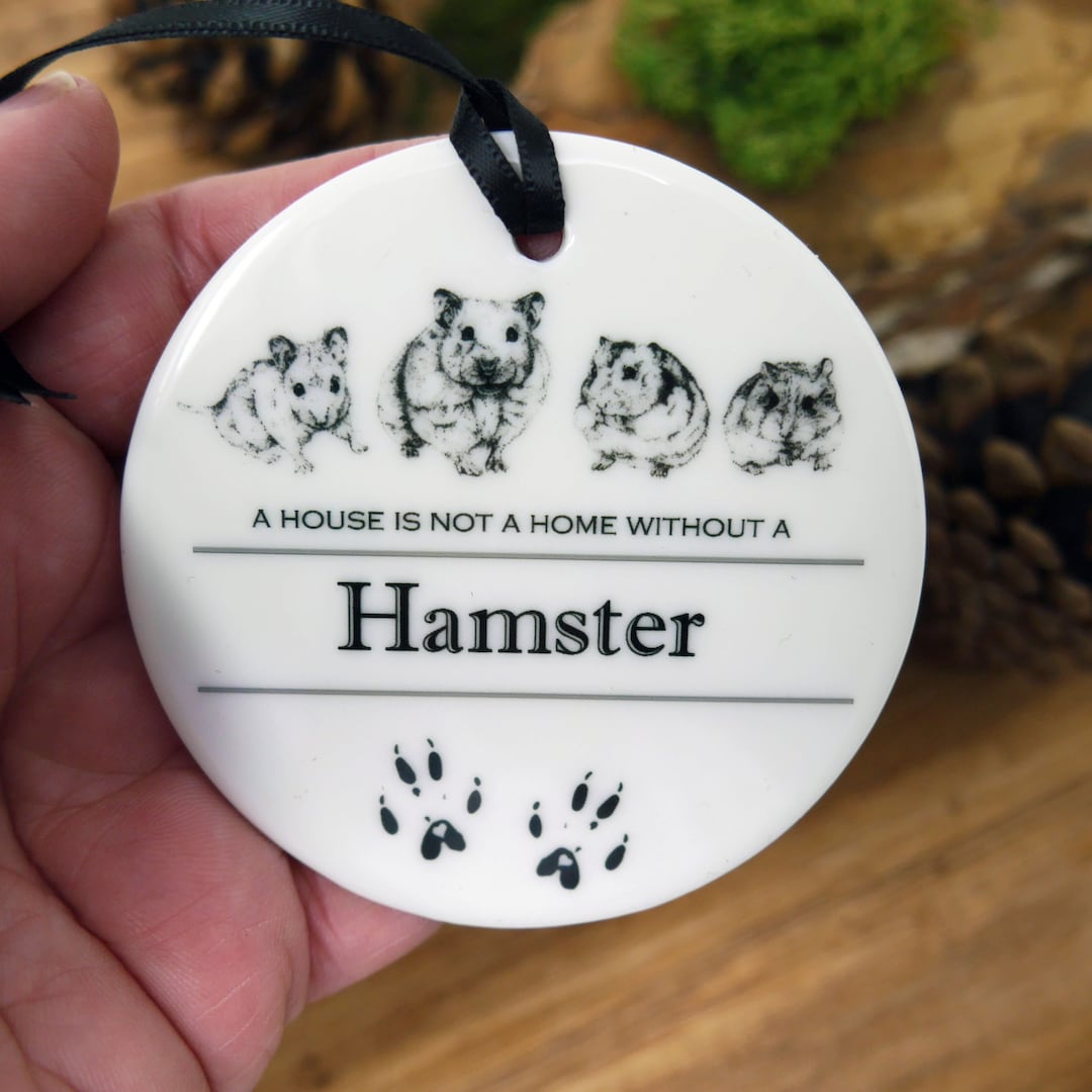 Hamster, Hamster Gift, Hammy Birthday, Hamster Lover, Letterbox Gift