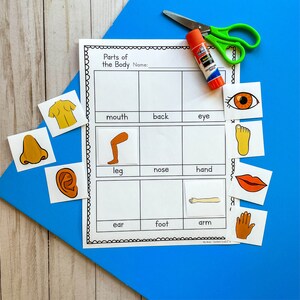 My Body Preschool Curriculum Printable, Homeschool Preschool, Toddler ...