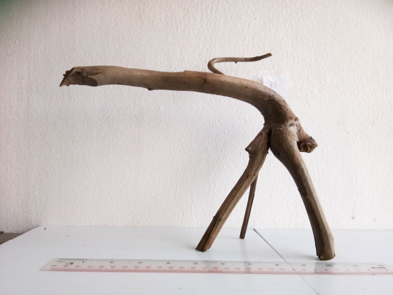 Snake Crab Turtle Driftwood Unique Wood Natural Trunk Tree for Aquarium Home Garden Decor Craft Ornament B5