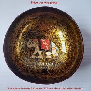 Hand-Painted Coconut Shell Bowl #2