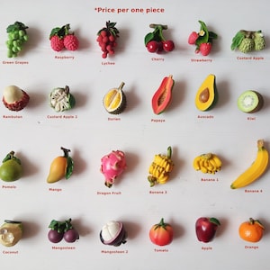 Vibrant and Fun, Fruit Models Decor for Your Refrigerator or Metal Surfaces No.1