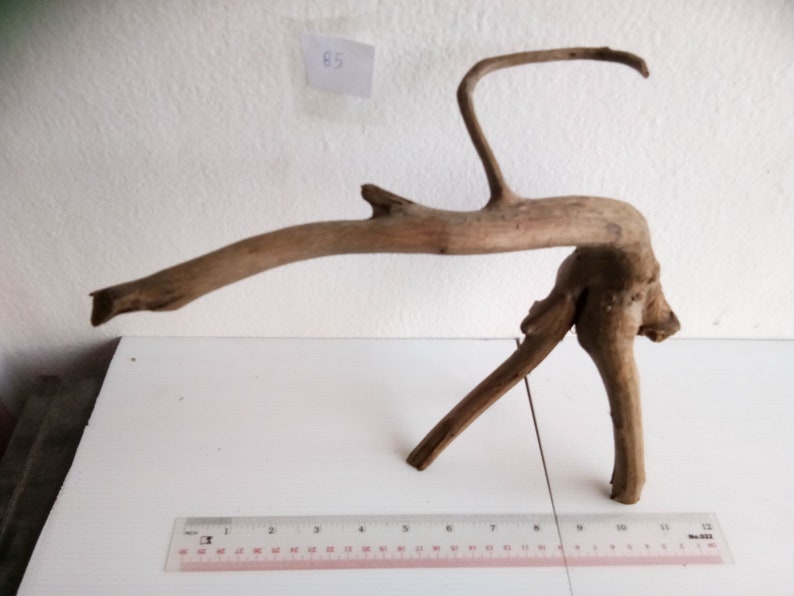 Snake Crab Turtle Driftwood Unique Wood Natural Trunk Tree for Aquarium Home Garden Decor Craft Ornament B5