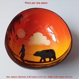 Hand-Painted Coconut Shell Bowl #1
