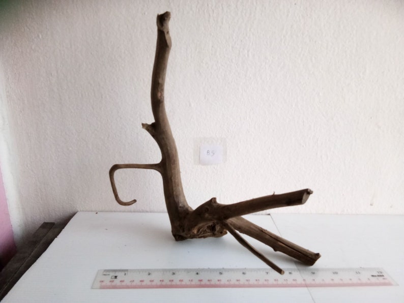 Snake Crab Turtle Driftwood Unique Wood Natural Trunk Tree for Aquarium Home Garden Decor Craft Ornament B5