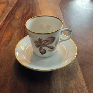 May include: A white teacup and saucer set with gold trim. The teacup features a brown and gold floral design. The saucer also has gold trim and a small floral accent. The set is on a wooden surface.