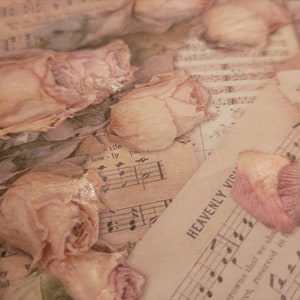 May include: A close-up of dried, pale pink roses scattered over vintage sheet music. The text "HEAVENLY VIS" is visible on a torn piece of paper. The overall aesthetic is soft and romantic, with a focus on floral and musical elements.