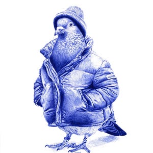 Peut inclure: Un dessin à l'encre bleue représentant un pigeon portant un bonnet en tricot et une doudoune. L'oiseau se tient debout, les ailes rentrées dans les poches de la veste. Une petite étiquette sur la manche porte l'inscription CLAUDE.