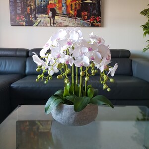 May include: A white orchid plant with pink accents in a grey pot. The plant is on a glass table in front of a black leather sofa.