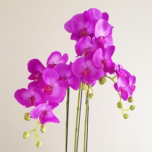 May include: A bouquet of pink orchid flowers with green stems and buds.