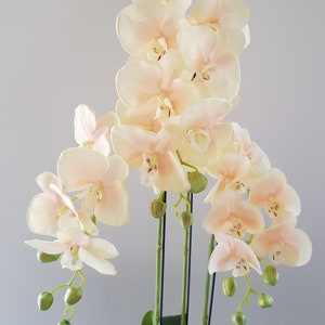 May include: An artificial orchid arrangement with cream and pink flowers. The arrangement has green buds and leaves, with black stems. The faux plant is set against a neutral background. The orchid is a decorative piece.