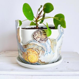 Op de afbeelding: Een witte keramische plantenpot met een gedetailleerd slakkenontwerp in bruin, geel en blauw. De pot bevat een kleine groene plant met ronde bladeren. De pot staat op een bijpassende witte schotel.