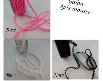 Galon épis mousse