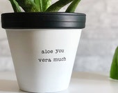 large planter, aloe you vera much planter, plant not included, gift for Mothers Day, Planter, Bridesmaid Gift, Anniversary, Painted Planter