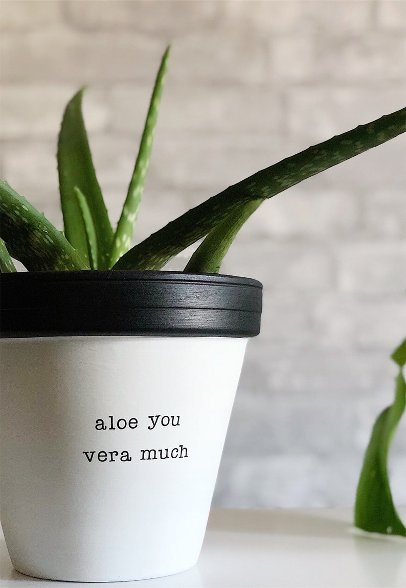 Mothers Day Bridesmaid Gift Gift under 40 Painted Planter Anniversary Planter Gift under 50 Wife Gift Wedding Gift Gift for Mom