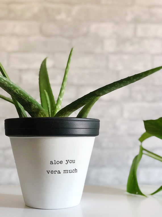 Large Planter Valentines Gift For Husband Aloe You Vera Large Planter Valentines Gift For