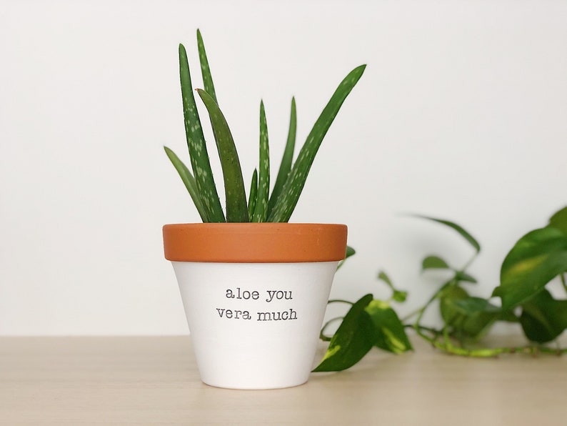 Indoor Planter, plant not included, Mother's Day Gift, Gift for Dad, Gift for Mom, Under 30, Gift Mum, Aloe You Vera Much, Mother Present 