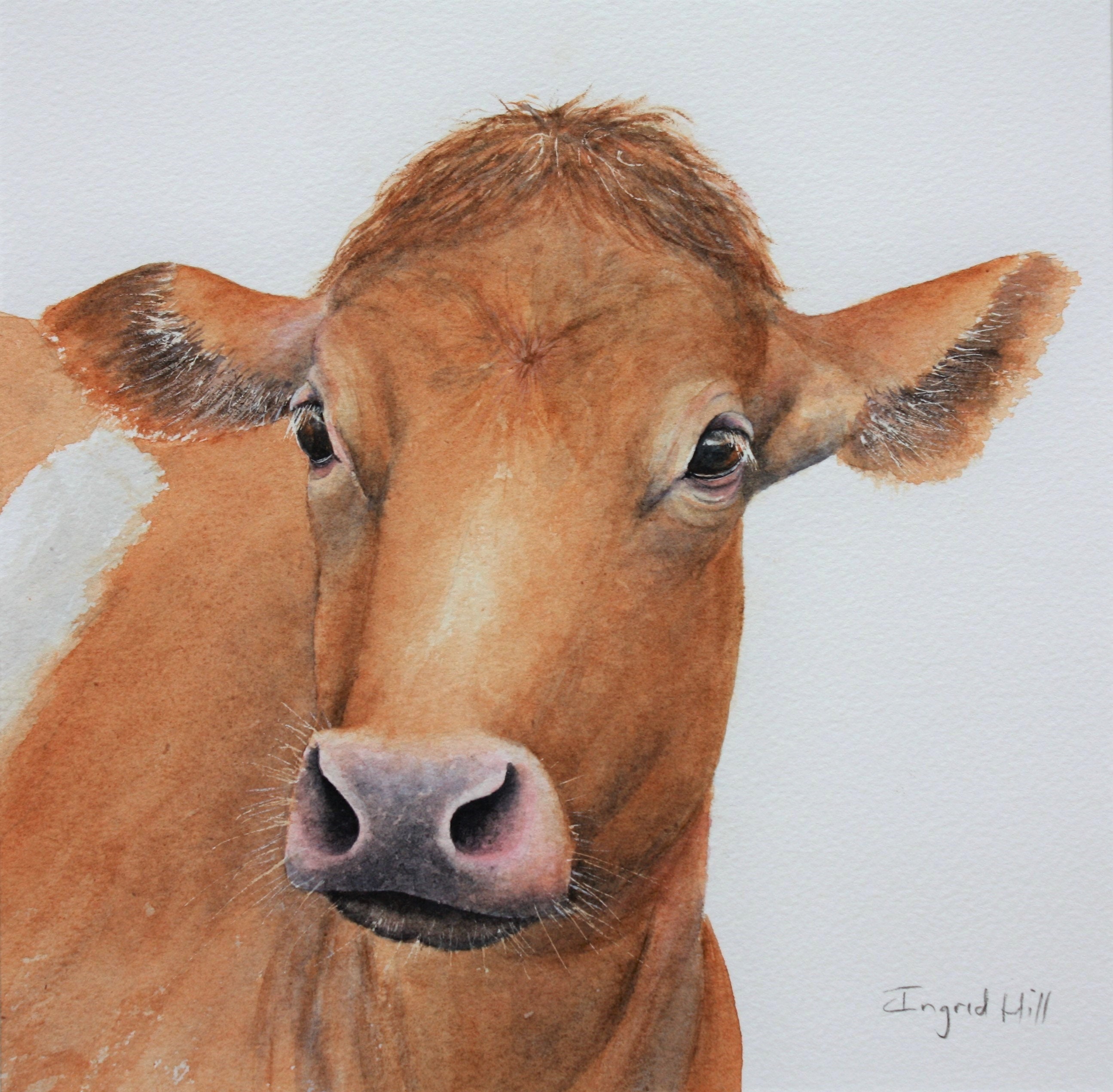 Betty Greetings Card of a Beautiful Cow of a Watercolour - Etsy Betty Greetings Card of a Beautiful Cow of a Watercolour - Etsy