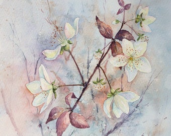 Hedgerow Blossom, greetings card of a watercolour painting by Ingrid Hill. Floral card, blank card, flower card, card for her, art card