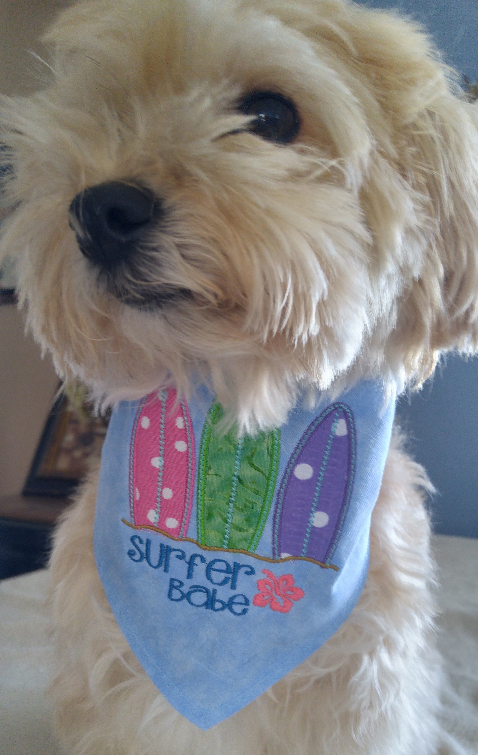 Dog Bandanas Beach Dog Bandanas Surfer Dog bandanas Large Etsy