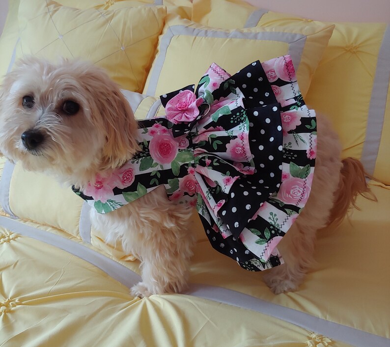 Dog Clothes Dog Dress Small Dog Dress Girl Dog Clothes Etsy