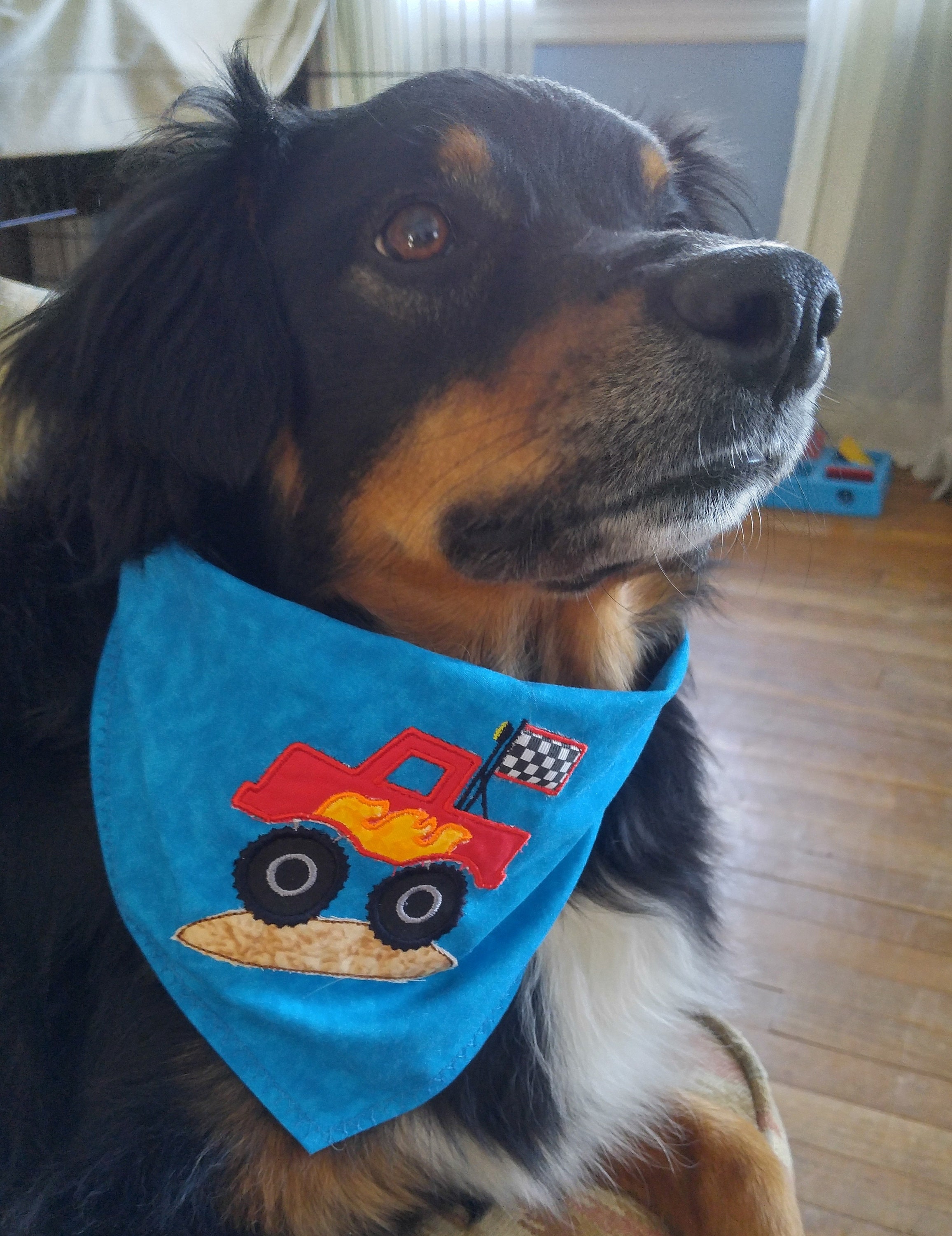 Dog Bandanas Personalized Dog Bandanas Large Dog Bandanas Etsy UK