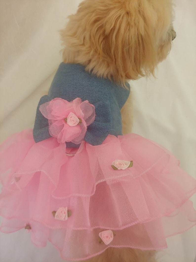 Dog Clothes Dog Dress Designer Dog Clothes Small Dog Etsy