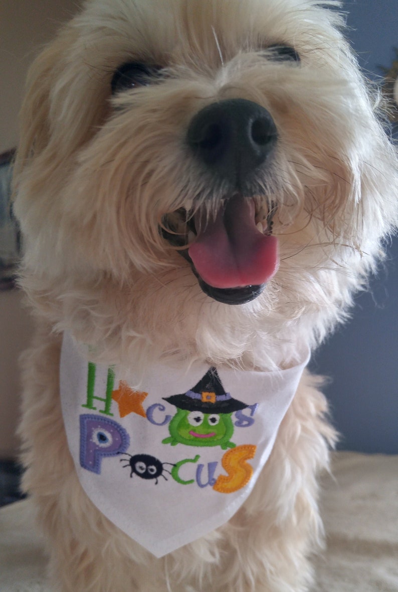 Dog Bandanas Halloween Dog Bandanas Large Dog Bandanas Etsy