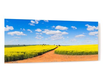 Canola field and dirt track under blue sky - rural agricultural countryside landscape acrylic wall art photo print 3679