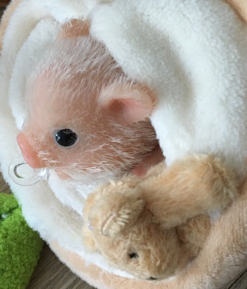 Micro Piglet Mini Silicone Teacup Micro Pig Pet Accessories Essentials