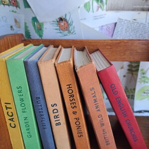 May include: A collection of vintage books with colorful spines, including titles like "Cacti," "Garden Flowers," and "Butterflies." The books are arranged on a wooden shelf, with the titles printed vertically.