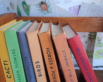 Vintage Observer Book Collection and Book Shelf : Vintage Decorative Items Vintage Home Decor Collectables 7 Books