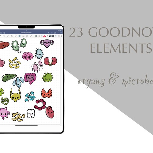 Goodnotes Anatomy Sticker Pack Nursing Stickers Digital Etsy Canada